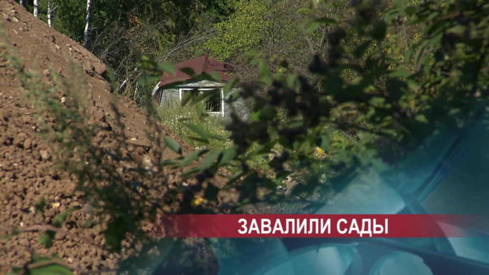Садовое товарищество «Поляна-2» в Нижнем Новгороде рискует повторить судьбу уничтоженного «Родника» 
