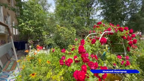 Конкурс на самую цветущую и ухоженную придомовую территорию стартовал в Нижнем Новгороде