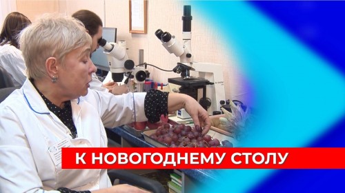 Специалисты Нижегородской испытательной лаборатории оценили безопасность продуктов к новогоднему столу