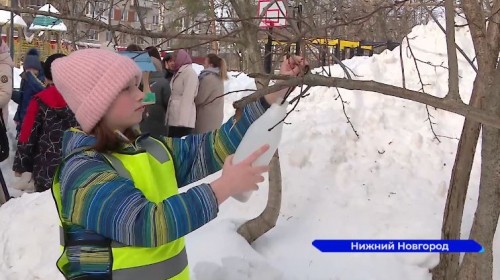 В акции «Покорми птиц зимой» приняли участие школьники Советского района