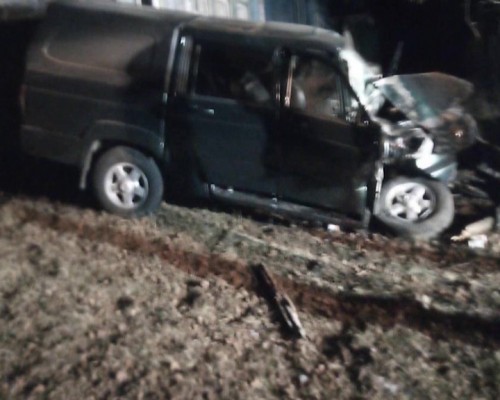 В Дальнеконстантиновском районе автомобилист сбил собаку, а потом врезался в дерево
