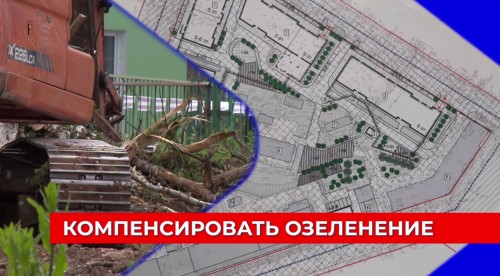 Жители домов в центре Нижнего Новгорода обеспокоены уничтожением деревьев на месте стройки