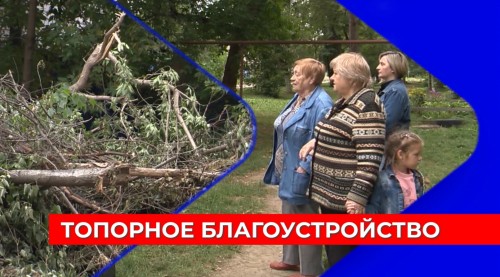 Жители дома в Ленинском районе возмущены вырубкой деревьев в их дворе