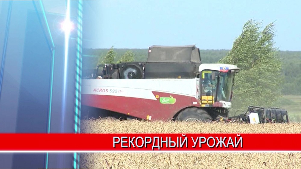 Награды и благодарности вручили работникам сельского хозяйства и перерабатывающей промышленности Награды и благодарности вручили работникам сельского хозяйства и перерабатывающей промышленности