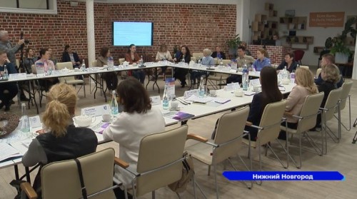 Трудоустройство жителей Нижегородской области с инвалидностью обсудили на экспертной сессии