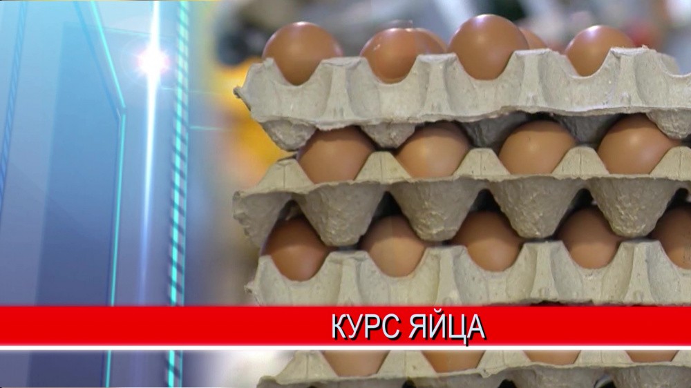 Цены на самую популярную категорию яиц у покупателей планируется зафиксировать в Нижегородской области