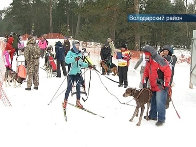 Гонки на собачьих упряжках прошли в поселке Решетиха под Дзержинском