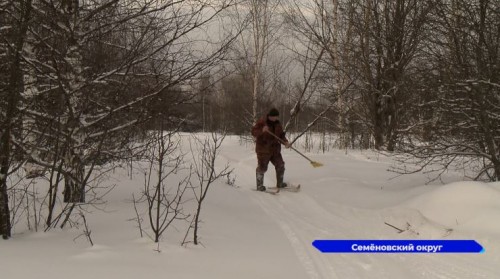 Зимний учет диких животных стартовал в Нижегородской области
