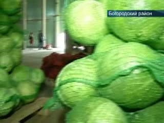 В Нижегородской области активно собирают урожай