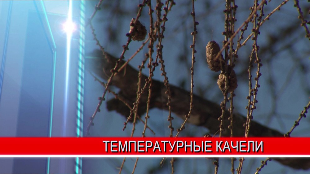 Сильный снегопад и температурные качели ожидают нижегородцев в ближайшие дни Сильный снегопад и температурные качели ожидают нижегородцев в ближайшие дни