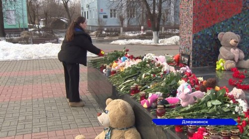 Жители Нижегородской области продолжают нести цветы к стихийным мемориалам