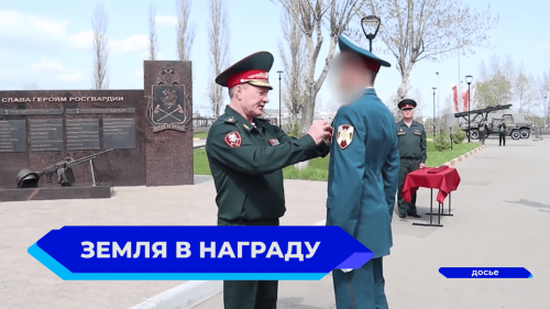 Бесплатно получить землю в Нижегородской области смогут Герои России и награждённые орденами и медалями РФ участники боевых действий