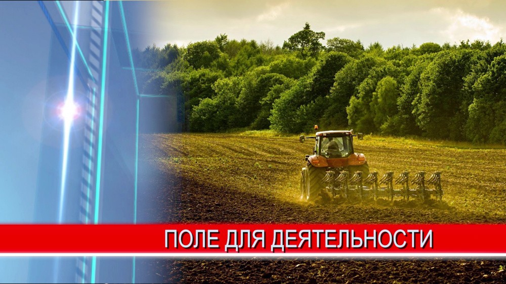 Заброшенные сельхозяйственные земли вернутся в оборот Заброшенные сельхозяйственные земли вернутся в оборот