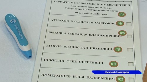 Для инвалидов по зрению на нижегородских избирательных участках подготовлены тифломаркеры