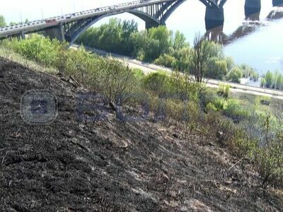 Сухостой тушили пожарные на откосе около Молитовского моста