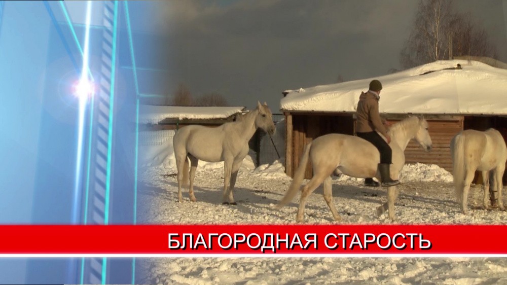 Трёх служебных лошадей проводили на пенсию из кавалерийского взвода нижегородского полка ППС