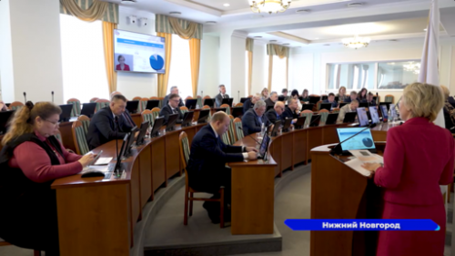 В Заксобрании Нижегородской области прошло заседание комитета по социальным вопросам