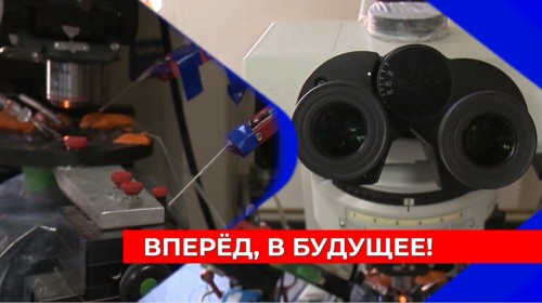 «Впереди – постцифровая реальность»: нижегородские учёные активно исследуют нейротехнологии