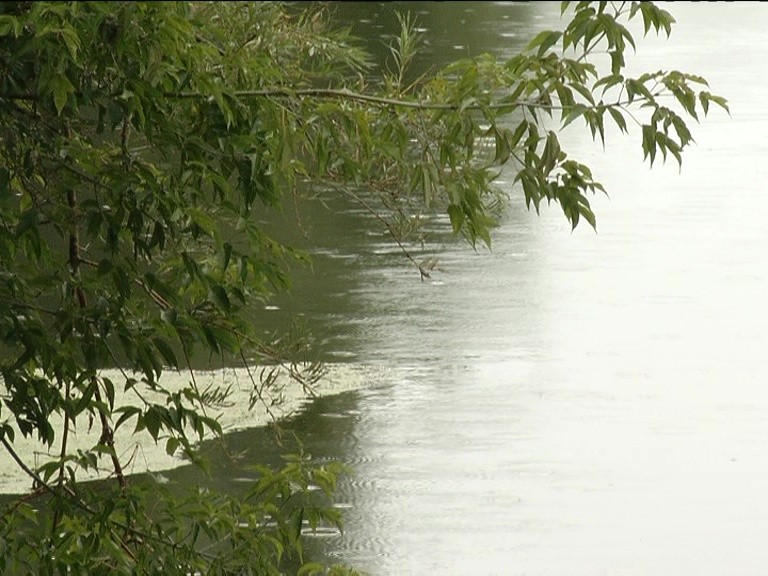 14-летний школьник утонул в водоеме в Дзержинске