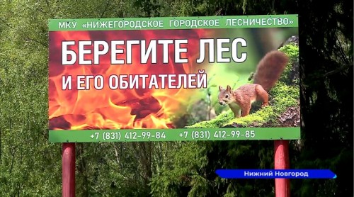 В городских лесах Нижнего Новгорода инспекторы МЧС ежедневно проводят рейды