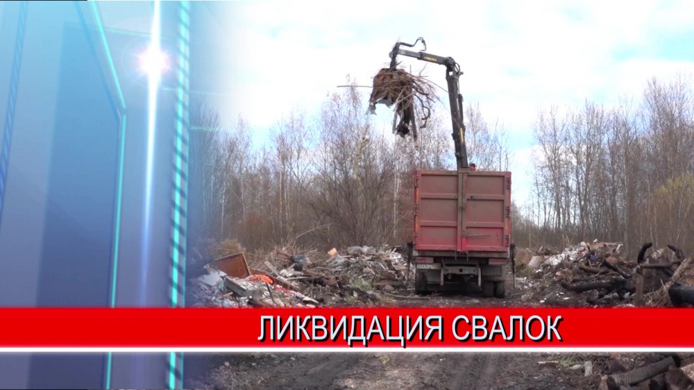 5 несанкционированных свалок ликвидируют в Автозаводском районе