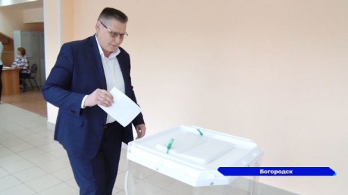 Глава Богородска принял участие в выборах губернатора региона, а также в дополнительных выборах депутатов Совета Депутатов