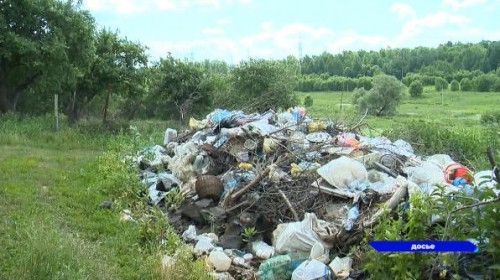 В Нижегородской области планируют вычислять нарушителей в области утилизации отходов с помощью камер