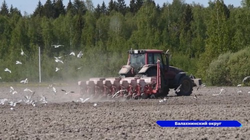 На 90% выполнен план ярового сева в Нижегородской области