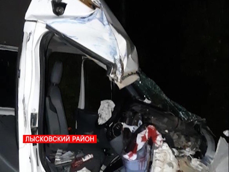 Семь человек пострадали во время столкновения микроавтобуса и многотонника в Лысковском районе