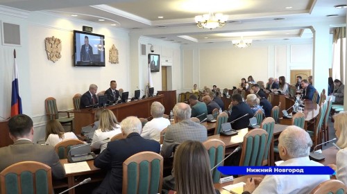 Право законодательно инициативы получит общественная палата Нижегородской области