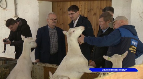 Сельхозпредприятия Лысковского округа посетил заместитель губернатора Андрей Саносян