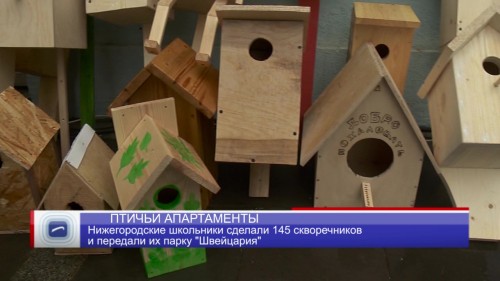 Двухэтажные апартаменты для птиц сделали нижегородские школьники