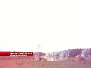 Лесной пожар вблизи населенного пункта тушили нижегородские спасатели