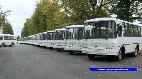В ближайшее время Богородский, Городецкий и Арзамасский округа получат 24 новых автобуса ПАЗ