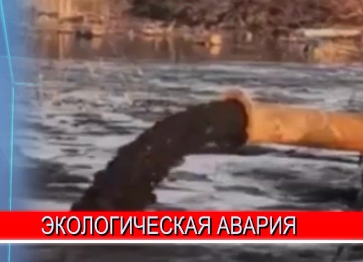 Лес в Борском районе и окраину посёлка Малое Пикино залили грязью Лес в Борском районе и окраину посёлка Малое Пикино залили грязью