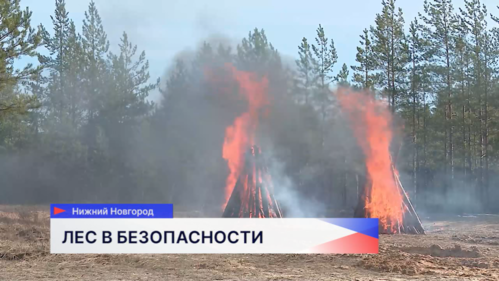 Командно-штабные учения по отработке тушения пожаров прошли на территории Сормовского участкового лесничества
