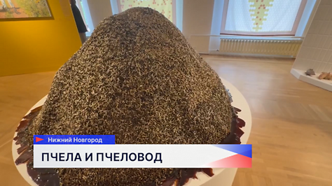 Нижегородский художественный музей и московская галерея «Триумф» запустили проект «Зона пчел»