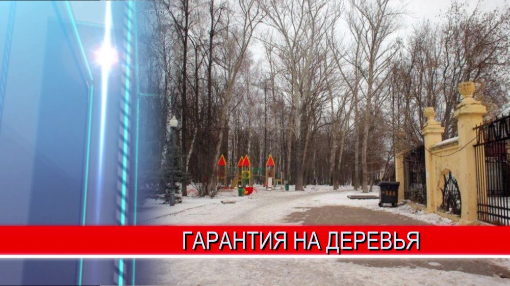 Объем зеленых насаждений в парке "Швейцария" обещают сохранить Объем зеленых насаждений в парке "Швейцария" обещают сохранить