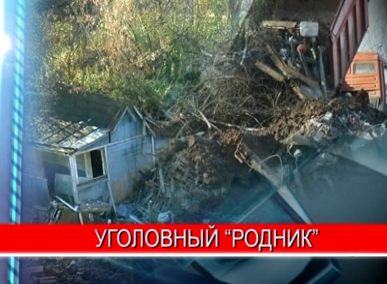 Новое уголовное дело возбуждено по скандальному садовому товариществу "Родник"