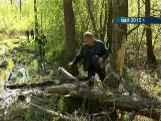 В Нижегородской области в два раза увеличилось количество ДТП с участием детей