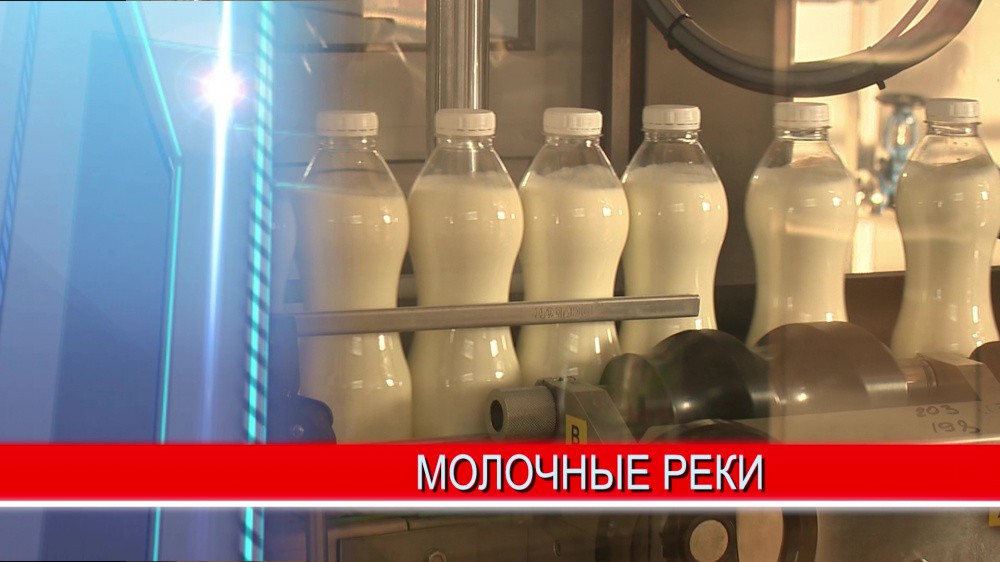 Нижегородские аграрии поставили рекорд по производству молока