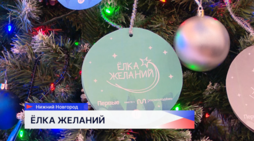 Руководители предприятий, организаций и депутатский корпус Ленинского района Нижнего Новгорода присоединились к Всероссийской акции «Ёлка желаний»