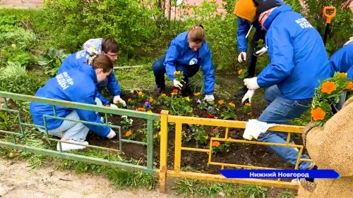 В Нижнем Новгороде проходит Всероссийская акция «Палисадник победы» 