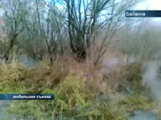 Экологическая катастрофа в Балахне