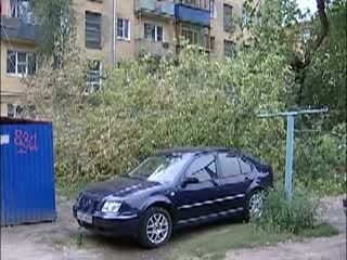 В Канавинском районе в одном из дворов на припаркованный автомобиль упало дерево