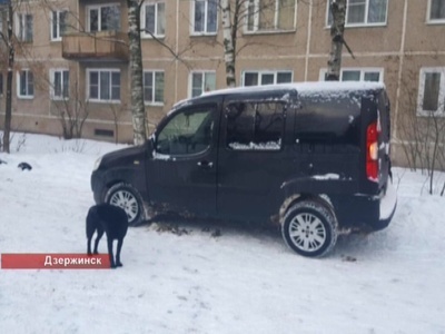 14-летняя школьница оказалась под колесами автомобиля во дворе дома в Дзержинске