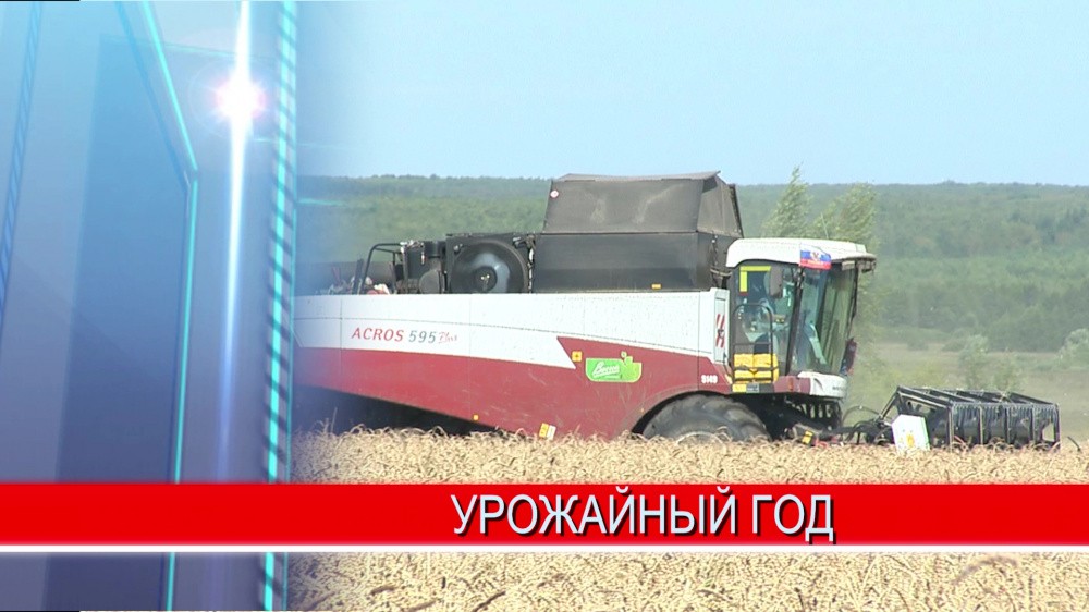 Нижегородские аграрии собрали 1 миллион 100 тысяч тонн зерна нового урожая