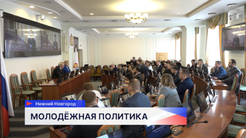 Совет молодых депутатов создадут при Законодательном Собрании Нижегородской области 