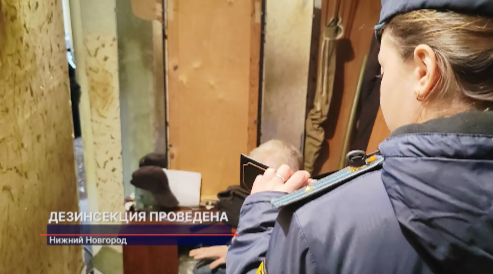 Судебные приставы посетили квартиру пенсионера, где развелось полчище тараканов