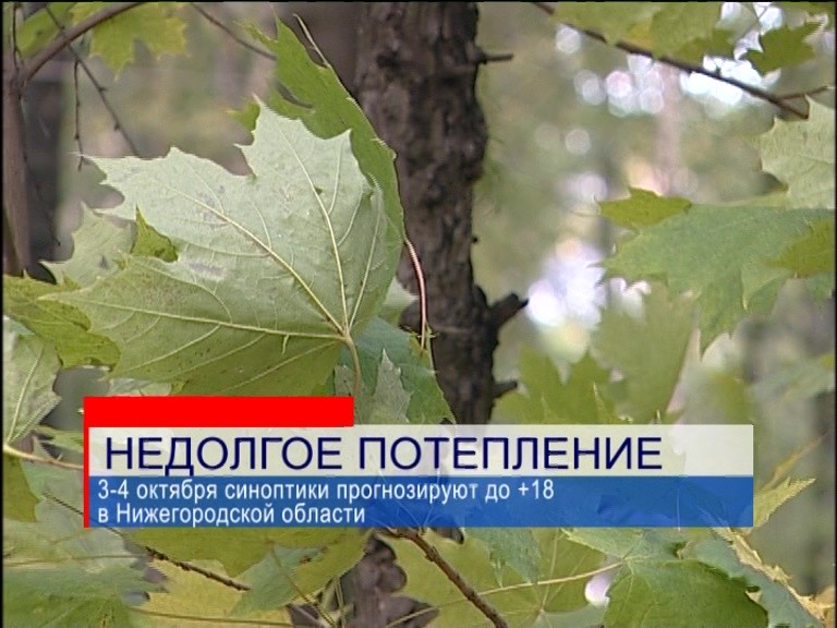 3-4 октября синоптики прогнозируют до +18 в Нижегородской области 3-4 октября синоптики прогнозируют до +18 в Нижегородской области